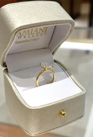 Damiani Jewellers Reports Rising Popularity of Hidden Halo Engagement Rings