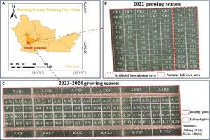 Researchers Develop Wheat Powdery Mildew Index Using Hyperspectral Drone Imagery