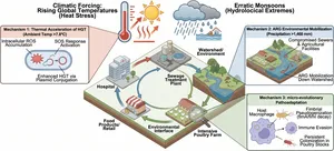 Climate Change Linked to Rising Antimicrobial Resistance in Global Animal Disease