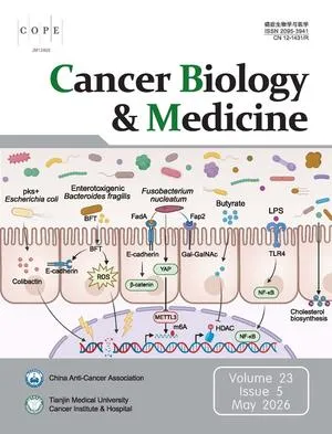 New Research Highlights the Gut Microbiome as a Key Factor in Cancer Treatment