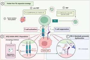 New Feeder-Free Method Enhances TIL Therapy Safety and Efficacy