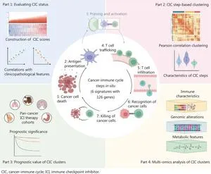 New Breast Cancer Classification Improves Immunotherapy Treatment Predictions