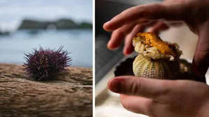 The Growing Importance of Hyper-Local Cuisine in California