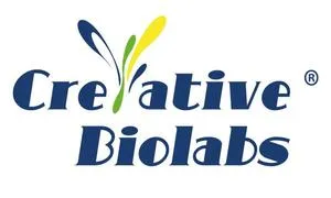 Creative Biolabs Expands Complement Assay Services to Support Drug Discovery and Preclinical Research