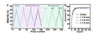 Researchers Develop Durable Tellurium-Based Films for Flexible Terahertz Modulators