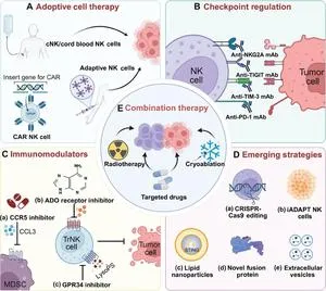 Tumor Microenvironment Influence on Natural Killer Cell Function and Immunotherapy