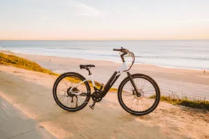 Bike.com Launches with a Bang: Win a Free Denago City 1 eBike