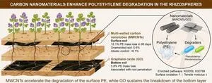 Carbon nanomaterials prime alfalfa roots to speed polyethylene breakdown in soil