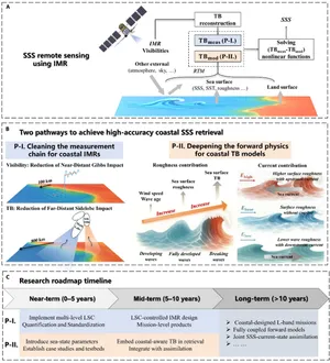 Dual-pathway framework sharpens coastal salinity monitoring