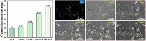 FCC/FCC structural compatibility enabling synergistic lubrication, anti-wear and cavitation erosion of Al10Cr28Co28Ni34/Ag composite coating in aviation kerosene
